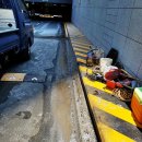 (주)트랜지 이미지