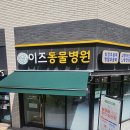 그린 동물병원 이미지