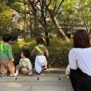 다정공원 네이버블로그