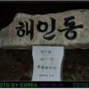 삼마목장 | 백두대간 11구간 (삼마골재~괘방령)