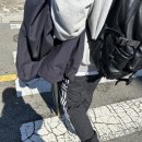 앙팡애견백화점 네이버블로그