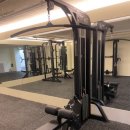 크로스핏 코알라 이미지