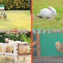 병식농장 이미지