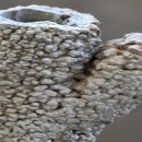 부곡테니스장 이미지