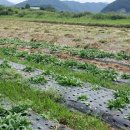 승기농장 이미지