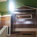 효돈중학교 이미지