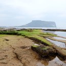 맥도날드송정역점 이미지