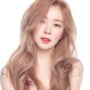 푸드카펫 이미지