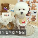 뉴데이 반려견 미용실 이미지