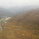 티케이트레이딩 이미지
