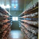 할렐루야농장 이미지