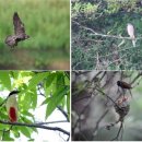 제주 물장오리오름 이미지