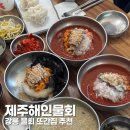 강릉 물회 맛집 제주해인물회, 또간집 내돈내산 후기