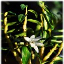 석곡중학교 이미지