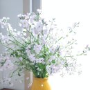 송현 농장 이미지