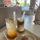 일산 카페 밤가시 펄시몬 커피 내돈내산 후기 홍시라떼와 츄러스휘낭시에
