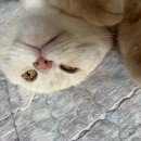 상보뜰 네이버블로그