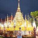 (주)판타게이트 | 태국 치앙마이 명소 올드타운 타패게이트, 사원 왓 판타오 : 위치 운영 시간 관광 포인트