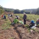 자원순환과 이미지