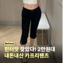 지그재그 카프리팬츠 내돈내산 후기