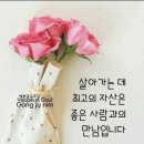 좋은아침입니다 이미지