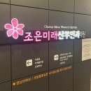 재키애견 | [임신일기] ep15. 16주~20주 일상: 신경관결손 검사결과, 성심당, 임신초기 여름 원피스 추천