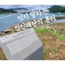 창원 안골포굴강 이미지