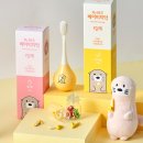 마이비 이미지