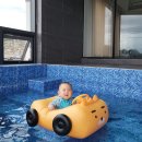 도도하우스 이미지