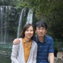 춘심이네 식당 이미지