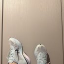 플라이맥스 | 풀마라톤 완주자의 베이퍼플라이4 후기, 런닝화 추천 프리런/줌플라이/리액트/베이퍼플라이4
