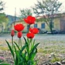 상계종합사회복지관 이미지