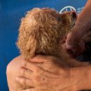 더블스테이 또또멍 애견펜션 이미지