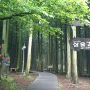 만장굴 이미지