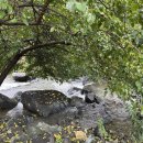 그곳만이 내 세상 이미지