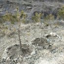 나만의 한평 정원 가꾸기 이미지