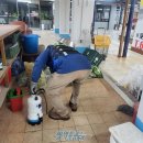 옥수새시장 이미지