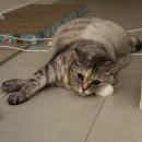 와이산부인과의원 | 인천 | 임신 19주의 "와이산후조리원" 계약 찐 후기 •0•