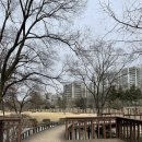 구갈레스피아 이미지