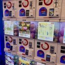 미니돌 강남 | [강남 놀거리]강남역 인형뽑기 추천! 미니돌 프리미엄 가챠샵 후기