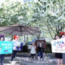 유성온천 이미지