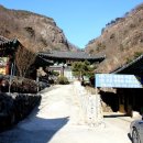 천태산죽염