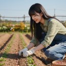 다온환경개발 | 땅콩 심는시기 재배 방법