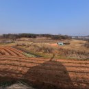 충남부동산공인중개사 이미지