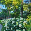 작은막공원 이미지