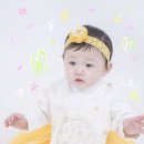 사파리사진관청주점 이미지