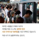 시원스크린 이미지