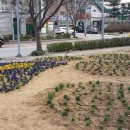 아산마을진입로 이미지