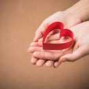 반도정형외과병원 이미지