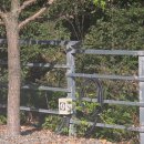 도화지오토캠핑장 | 가족캠핑으로 다녀온 도화지캠핑장 계곡뷰 최고였어요